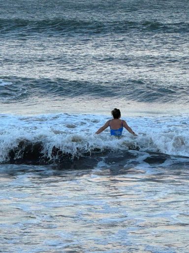 Wild Swimming